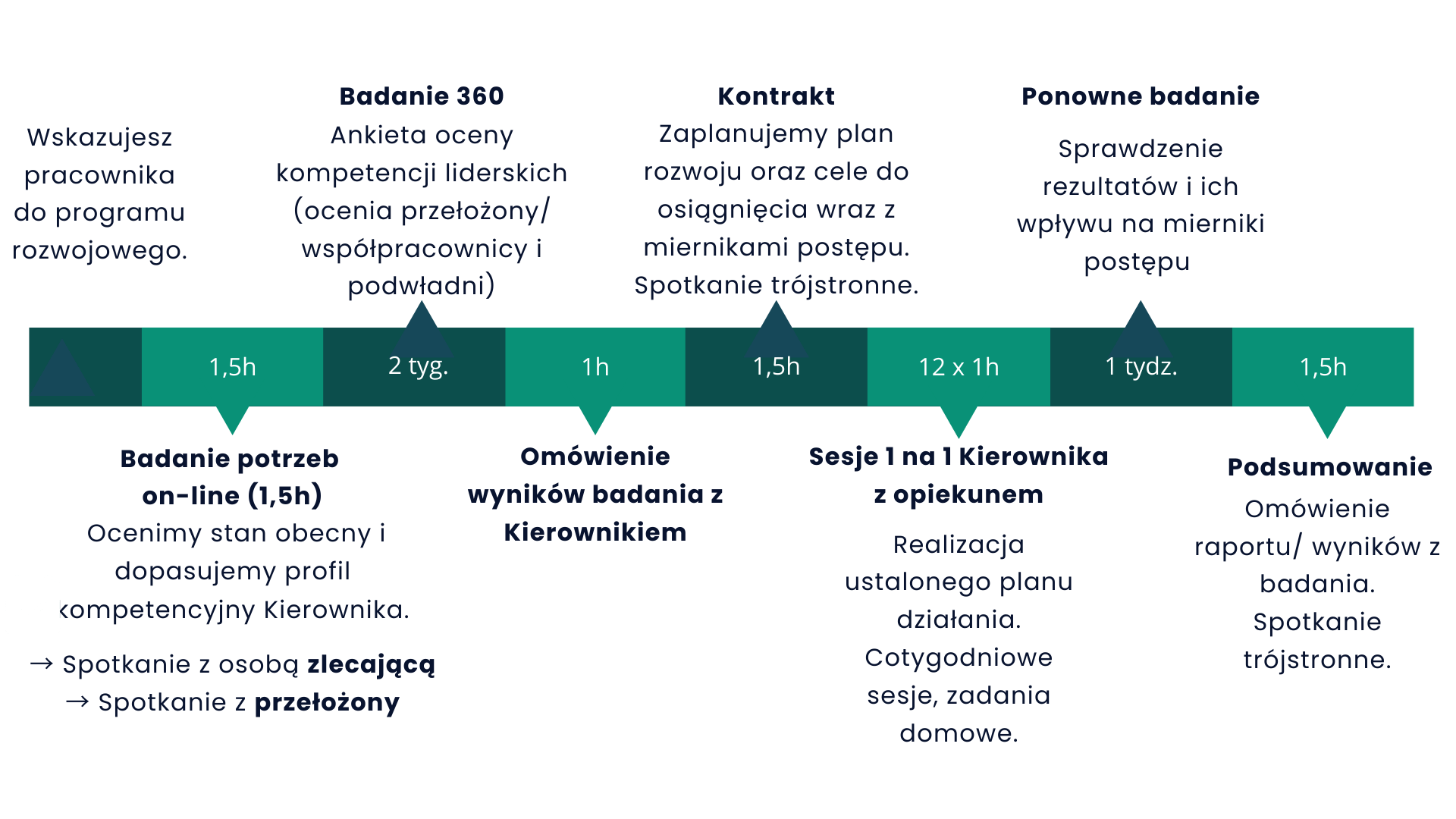 Szablon - Diagnoza z wizją lokalną (1).pptx (1)